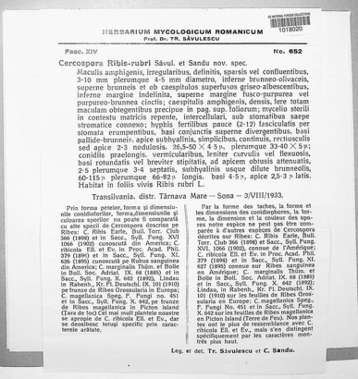 Passalora ribis-rubri image